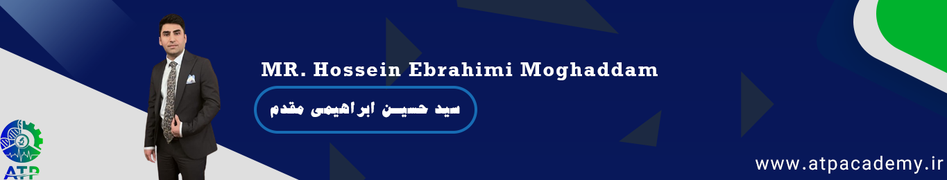 سید حسین ابراهیمی مقدم