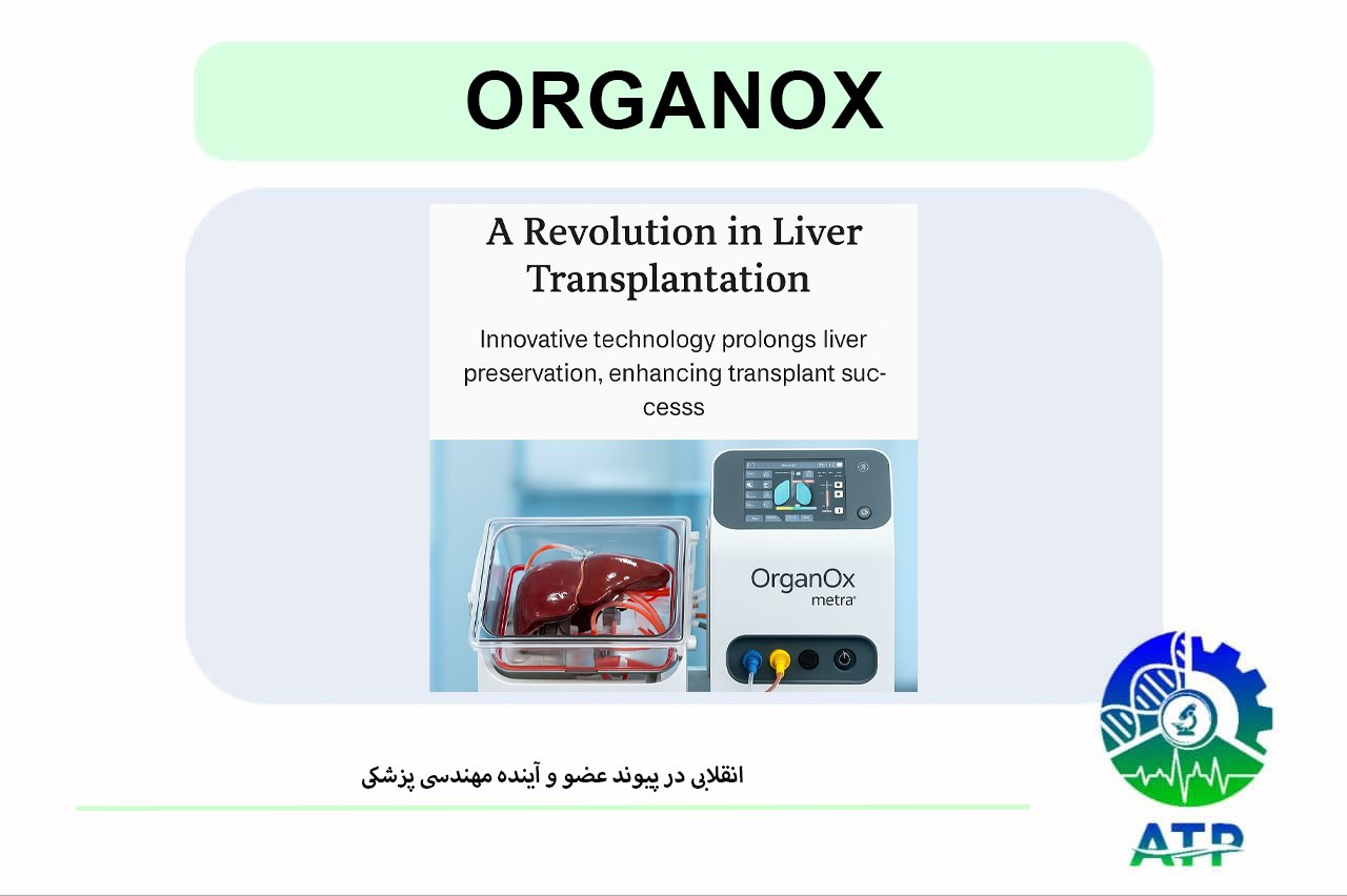 «فناوری OrganOx تحول بزرگی در حوزه پیوند عضو ایجاد کرده است. این مقاله به بررسی سازوکار دستگاه، نقش مهندسی پزشکی، نمونه‌های موفق جهانی و ..
